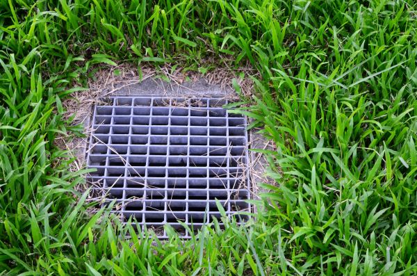 Yard Water Drainage